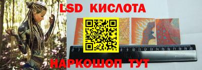 амф Ярославль