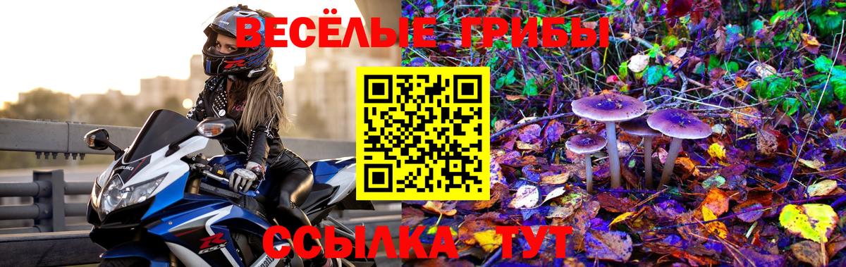 Артёмовский  где купить наркотик  Галлюциногенные грибы Cubensis  Вход с VPN  Псилоцибиновые грибы Magic Shrooms 