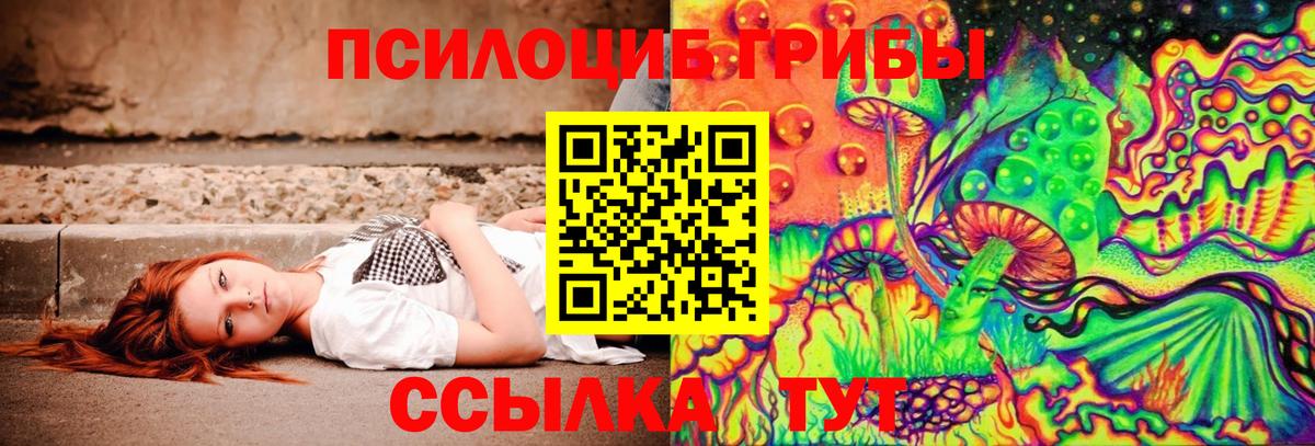 Псилоцибиновые грибы мицелий Артёмовский